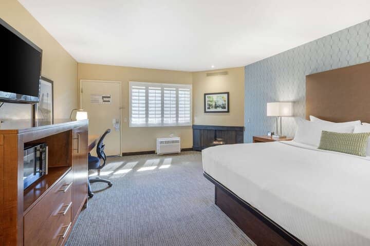 Room 6 of 43